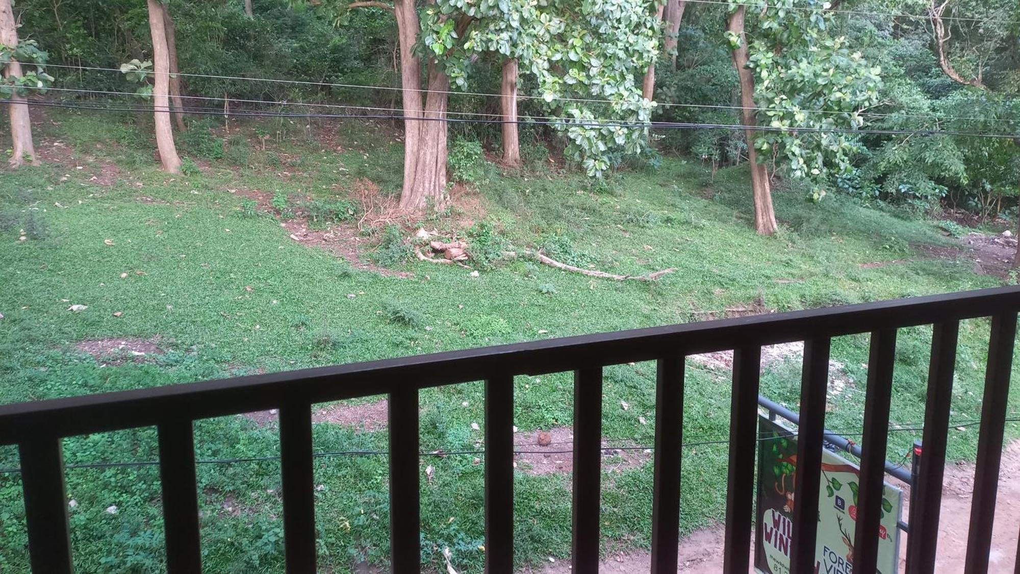 Wild Window - Forest View Homestay Thekkady Exterior photo