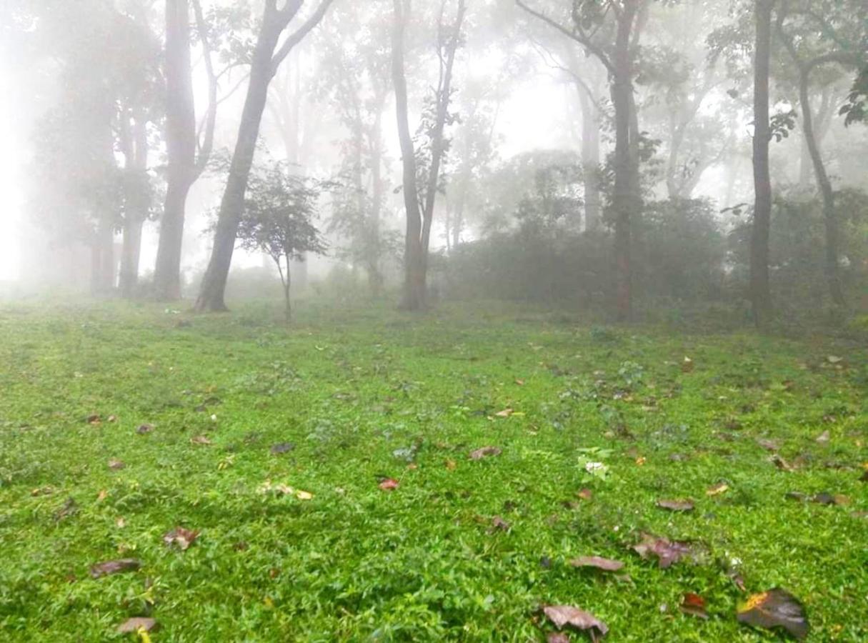 Wild Window - Forest View Homestay Thekkady Exterior photo